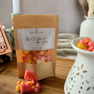 Fondant parfumé bois de gaïac Au Coin du Feu avec formes livresques colorées