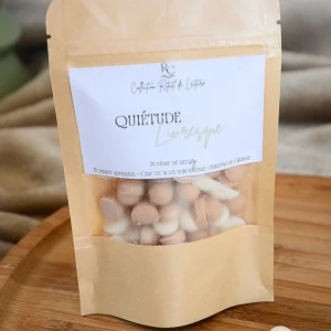 Sachet de fondants parfumés artisanaux Quiétude Livresque Poudre de riz 60 g